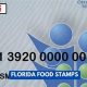 Florida Food Stamp Requirements: A 2024 Guide | Old Stamp Collecting Guide: Discover, Value & Preserve Vintage Stamps