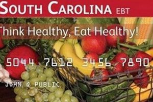 Check Your SC Food Stamp Balance Instantly Old Stamp Collecting Guide: Discover, Value & Preserve Vintage Stamps Check Your SC Food Stamp Balance Instantly | Old Stamp Collecting Guide: Discover, Value & Preserve Vintage Stamps