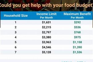 GA Food Stamp Benefits Guide & Application Old Stamp Collecting Guide: Discover, Value & Preserve Vintage Stamps GA Food Stamp Benefits Guide & Application | Old Stamp Collecting Guide: Discover, Value & Preserve Vintage Stamps