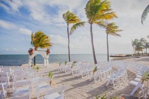 Dream Postcard Inn Islamorada Weddings Old Stamp Collecting Guide: Discover, Value & Preserve Vintage Stamps Dream Postcard Inn Islamorada Weddings | Old Stamp Collecting Guide: Discover, Value & Preserve Vintage Stamps