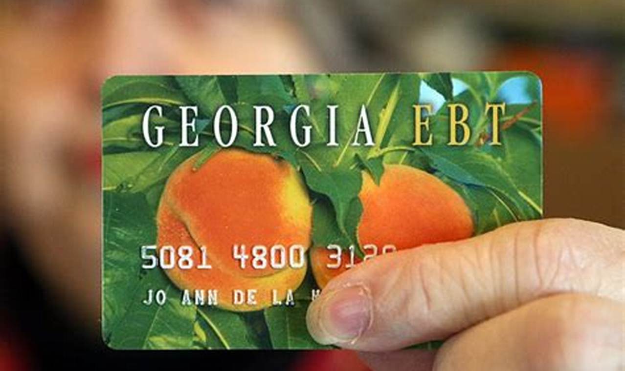 Food Stamp Card Your Benefits Guide