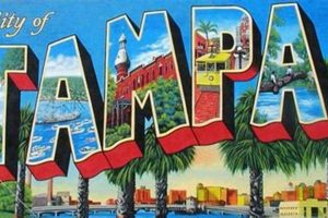 Vintage Tampa Postcards: Collectible Memories Old Stamp Collecting Guide: Discover, Value & Preserve Vintage Stamps Vintage Tampa Postcards: Collectible Memories | Old Stamp Collecting Guide: Discover, Value & Preserve Vintage Stamps