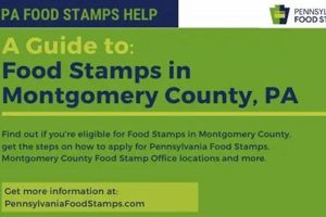 Montgomery County Food Stamp Program Guide & Resources Old Stamp Collecting Guide: Discover, Value & Preserve Vintage Stamps Montgomery County Food Stamp Program Guide & Resources | Old Stamp Collecting Guide: Discover, Value & Preserve Vintage Stamps