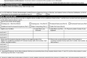 Check TN Food Stamp Eligibility | Calculator Old Stamp Collecting Guide: Discover, Value & Preserve Vintage Stamps Check TN Food Stamp Eligibility | Calculator | Old Stamp Collecting Guide: Discover, Value & Preserve Vintage Stamps