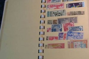 Best Stock Books for Stamp Collecting Guide Old Stamp Collecting Guide: Discover, Value & Preserve Vintage Stamps Best Stock Books for Stamp Collecting Guide | Old Stamp Collecting Guide: Discover, Value & Preserve Vintage Stamps