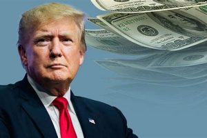 Trump's New Food Stamp Rules & Requirements Old Stamp Collecting Guide: Discover, Value & Preserve Vintage Stamps Trump's New Food Stamp Rules & Requirements | Old Stamp Collecting Guide: Discover, Value & Preserve Vintage Stamps
