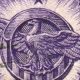 Send Postcards with USA Stamps: Guide &amp; Tips | Old Stamp Collecting Guide: Discover, Value & Preserve Vintage Stamps