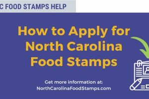NC Food Stamp Application: Your Guide & Help Old Stamp Collecting Guide: Discover, Value & Preserve Vintage Stamps NC Food Stamp Application: Your Guide & Help | Old Stamp Collecting Guide: Discover, Value & Preserve Vintage Stamps