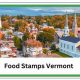 Vermont Food Stamp Guide &amp; Application | Old Stamp Collecting Guide: Discover, Value & Preserve Vintage Stamps