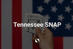 Food Stamp Number Tennessee Old Stamp Collecting Guide: Discover, Value & Preserve Vintage Stamps Food Stamp Number Tennessee | Old Stamp Collecting Guide: Discover, Value & Preserve Vintage Stamps