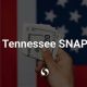 Food Stamp Number Tennessee | Old Stamp Collecting Guide: Discover, Value & Preserve Vintage Stamps
