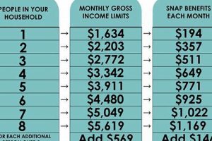 Find Kingsport, TN Food Stamp Offices Near You | Old Stamp Collecting Guide: Discover, Value & Preserve Vintage Stamps