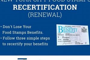 NY Food Stamp Recertification Guide & Help Old Stamp Collecting Guide: Discover, Value & Preserve Vintage Stamps NY Food Stamp Recertification Guide & Help | Old Stamp Collecting Guide: Discover, Value & Preserve Vintage Stamps