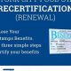 NY Food Stamp Recertification Guide &amp; Help | Old Stamp Collecting Guide: Discover, Value & Preserve Vintage Stamps