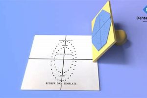 Best Rubber Dam Stamp: Guide & Uses Old Stamp Collecting Guide: Discover, Value & Preserve Vintage Stamps Best Rubber Dam Stamp: Guide & Uses | Old Stamp Collecting Guide: Discover, Value & Preserve Vintage Stamps