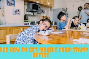 Food Stamp Office Seattle Old Stamp Collecting Guide: Discover, Value & Preserve Vintage Stamps Food Stamp Office Seattle | Old Stamp Collecting Guide: Discover, Value & Preserve Vintage Stamps