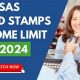 Kansas Food Stamp Income Limits 2024: A Guide | Old Stamp Collecting Guide: Discover, Value & Preserve Vintage Stamps