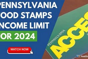 PA Food Stamp Income Limits & Eligibility Old Stamp Collecting Guide: Discover, Value & Preserve Vintage Stamps PA Food Stamp Income Limits & Eligibility | Old Stamp Collecting Guide: Discover, Value & Preserve Vintage Stamps