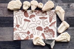 Craft & Document: Rubber Mushroom Stamp Set Old Stamp Collecting Guide: Discover, Value & Preserve Vintage Stamps Craft & Document: Rubber Mushroom Stamp Set | Old Stamp Collecting Guide: Discover, Value & Preserve Vintage Stamps