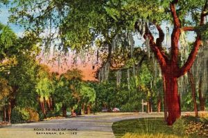 Vintage Savannah Postcards: History in Your Hands Old Stamp Collecting Guide: Discover, Value & Preserve Vintage Stamps Vintage Savannah Postcards: History in Your Hands | Old Stamp Collecting Guide: Discover, Value & Preserve Vintage Stamps