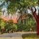 Vintage Savannah Postcards: History in Your Hands | Old Stamp Collecting Guide: Discover, Value & Preserve Vintage Stamps