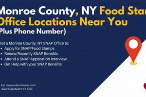 Apply for Food Stamps in Monroe County, NY Old Stamp Collecting Guide: Discover, Value & Preserve Vintage Stamps Apply for Food Stamps in Monroe County, NY | Old Stamp Collecting Guide: Discover, Value & Preserve Vintage Stamps