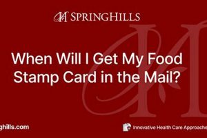 Get Your Food Stamp Card: How Long It Takes Old Stamp Collecting Guide: Discover, Value & Preserve Vintage Stamps Get Your Food Stamp Card: How Long It Takes | Old Stamp Collecting Guide: Discover, Value & Preserve Vintage Stamps