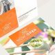 Custom Postcard Mailer Printing & Design Services | Old Stamp Collecting Guide: Discover, Value & Preserve Vintage Stamps
