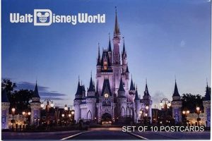 Disney World Postcard Old Stamp Collecting Guide: Discover, Value & Preserve Vintage Stamps Disney World Postcard | Old Stamp Collecting Guide: Discover, Value & Preserve Vintage Stamps