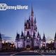 Disney World Postcard | Old Stamp Collecting Guide: Discover, Value & Preserve Vintage Stamps