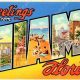 Vintage Miami Postcards: Souvenirs & History | Old Stamp Collecting Guide: Discover, Value & Preserve Vintage Stamps
