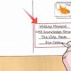 Perfect Postcard Addressing: A How-To Guide | Old Stamp Collecting Guide: Discover, Value & Preserve Vintage Stamps