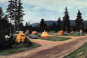 Ultimate Postcard Camping Guide for Beginners Old Stamp Collecting Guide: Discover, Value & Preserve Vintage Stamps Ultimate Postcard Camping Guide for Beginners | Old Stamp Collecting Guide: Discover, Value & Preserve Vintage Stamps