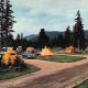Ultimate Postcard Camping Guide for Beginners | Old Stamp Collecting Guide: Discover, Value & Preserve Vintage Stamps