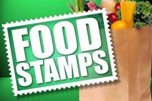Food Stamp Office Lake Charles Old Stamp Collecting Guide: Discover, Value & Preserve Vintage Stamps Food Stamp Office Lake Charles | Old Stamp Collecting Guide: Discover, Value & Preserve Vintage Stamps