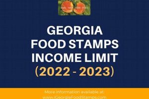 GA Food Stamp Income Limits & Eligibility 2024 Old Stamp Collecting Guide: Discover, Value & Preserve Vintage Stamps GA Food Stamp Income Limits & Eligibility 2024 | Old Stamp Collecting Guide: Discover, Value & Preserve Vintage Stamps