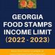 GA Food Stamp Income Limits & Eligibility 2024 | Old Stamp Collecting Guide: Discover, Value & Preserve Vintage Stamps