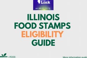 Check Illinois Food Stamp Eligibility & Apply Old Stamp Collecting Guide: Discover, Value & Preserve Vintage Stamps Check Illinois Food Stamp Eligibility & Apply | Old Stamp Collecting Guide: Discover, Value & Preserve Vintage Stamps