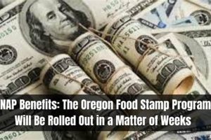 Oregon Food Stamp Requirements 2024: A Guide Old Stamp Collecting Guide: Discover, Value & Preserve Vintage Stamps Oregon Food Stamp Requirements 2024: A Guide | Old Stamp Collecting Guide: Discover, Value & Preserve Vintage Stamps