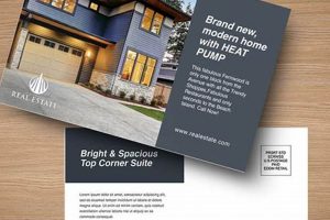 Effective Real Estate Postcard Mailing Strategies Old Stamp Collecting Guide: Discover, Value & Preserve Vintage Stamps Effective Real Estate Postcard Mailing Strategies | Old Stamp Collecting Guide: Discover, Value & Preserve Vintage Stamps