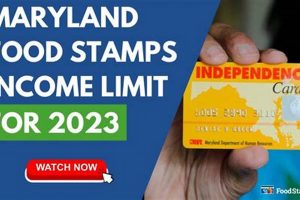 Maryland Food Stamp Guide & Application Old Stamp Collecting Guide: Discover, Value & Preserve Vintage Stamps Maryland Food Stamp Guide & Application | Old Stamp Collecting Guide: Discover, Value & Preserve Vintage Stamps