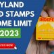 Maryland Food Stamp Guide &amp; Application | Old Stamp Collecting Guide: Discover, Value & Preserve Vintage Stamps