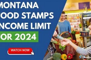 Montana Food Stamp Guide & Application Old Stamp Collecting Guide: Discover, Value & Preserve Vintage Stamps Montana Food Stamp Guide & Application | Old Stamp Collecting Guide: Discover, Value & Preserve Vintage Stamps