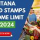 Montana Food Stamp Guide &amp; Application | Old Stamp Collecting Guide: Discover, Value & Preserve Vintage Stamps