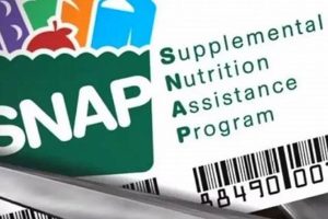 Find Your San Marcos Food Stamp Office Old Stamp Collecting Guide: Discover, Value & Preserve Vintage Stamps Find Your San Marcos Food Stamp Office | Old Stamp Collecting Guide: Discover, Value & Preserve Vintage Stamps
