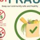California Food Stamp Fraud: Stop & Report | Old Stamp Collecting Guide: Discover, Value & Preserve Vintage Stamps