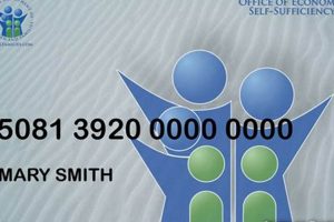 Lost Your Florida EBT Card? Get a Replacement Now Old Stamp Collecting Guide: Discover, Value & Preserve Vintage Stamps Lost Your Florida EBT Card? Get a Replacement Now | Old Stamp Collecting Guide: Discover, Value & Preserve Vintage Stamps