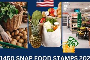 2024 Food Stamp Increase: What to Expect Old Stamp Collecting Guide: Discover, Value & Preserve Vintage Stamps 2024 Food Stamp Increase: What to Expect | Old Stamp Collecting Guide: Discover, Value & Preserve Vintage Stamps