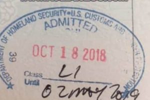 Understanding the US Immigration Stamp in Your Passport Old Stamp Collecting Guide: Discover, Value & Preserve Vintage Stamps Understanding the US Immigration Stamp in Your Passport | Old Stamp Collecting Guide: Discover, Value & Preserve Vintage Stamps