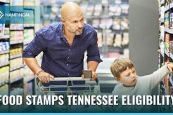 Find Your Chattanooga Food Stamp Office Near You Old Stamp Collecting Guide: Discover, Value & Preserve Vintage Stamps Find Your Chattanooga Food Stamp Office Near You | Old Stamp Collecting Guide: Discover, Value & Preserve Vintage Stamps